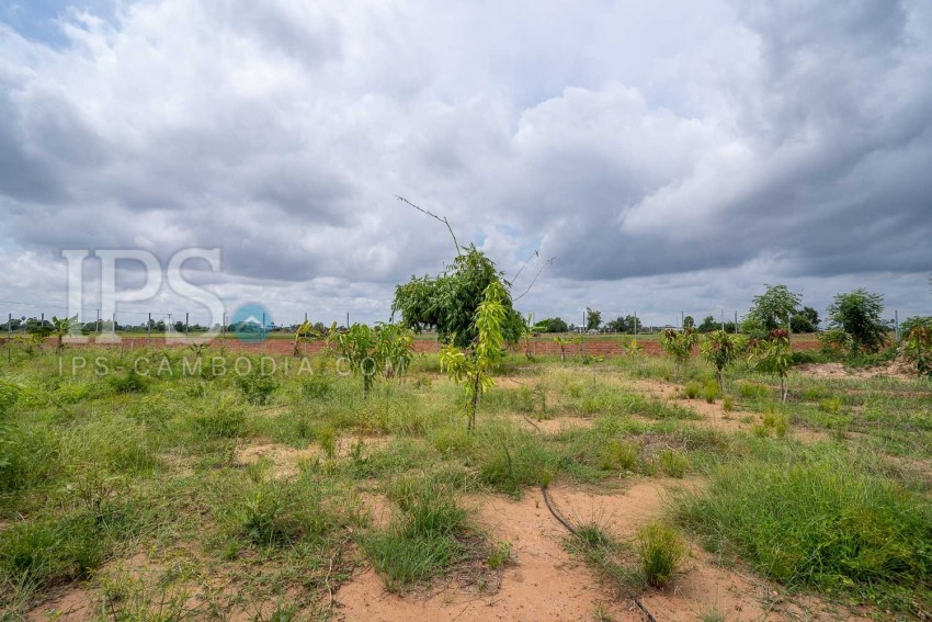   12000 Sqm Land For Sale - Chreav, Siem Reap