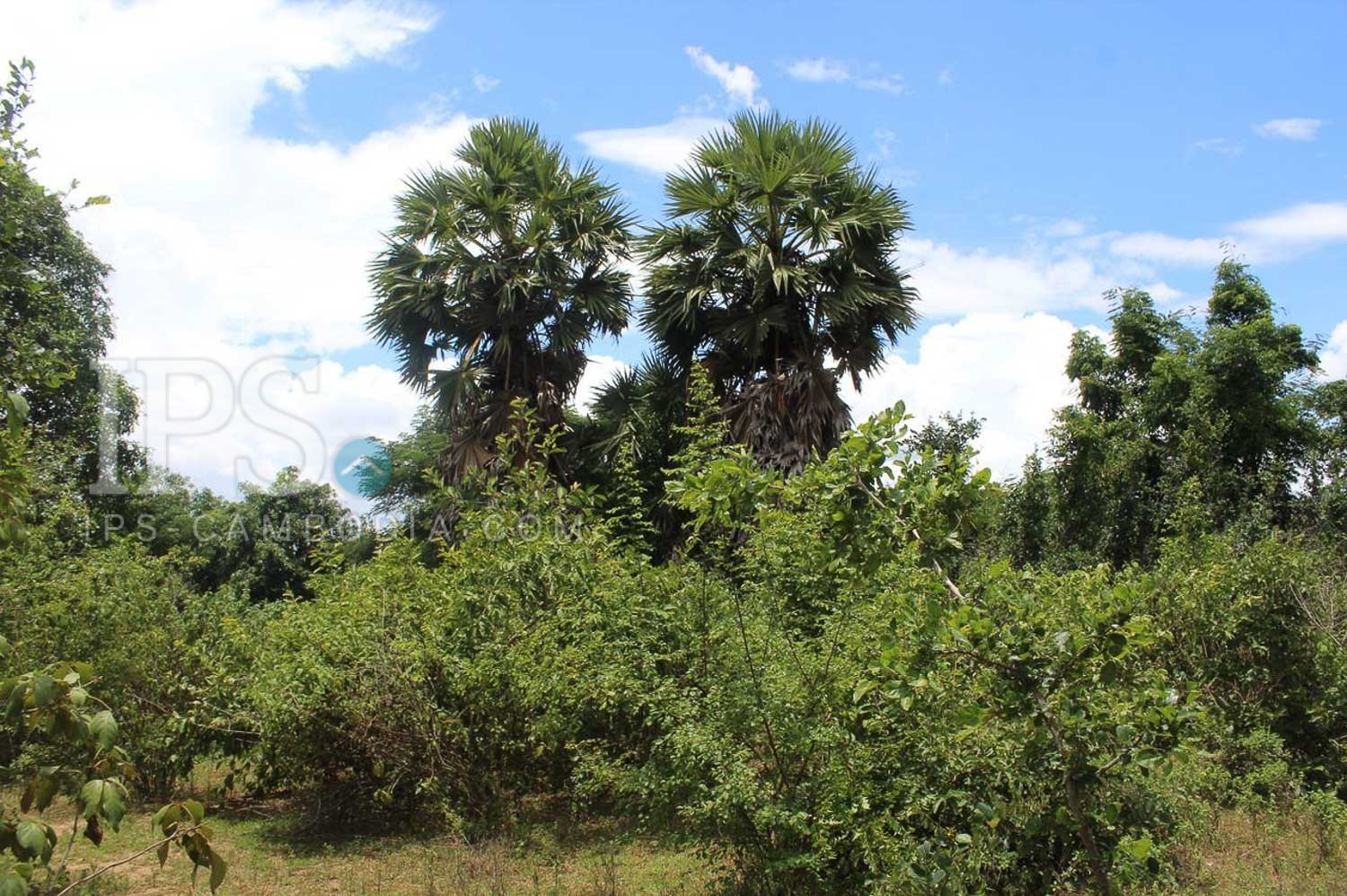136,027 Sqm Land For Sale - Battambang - Image 9