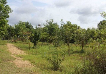 14 Hectare Land For Sale - Battambang thumbnail