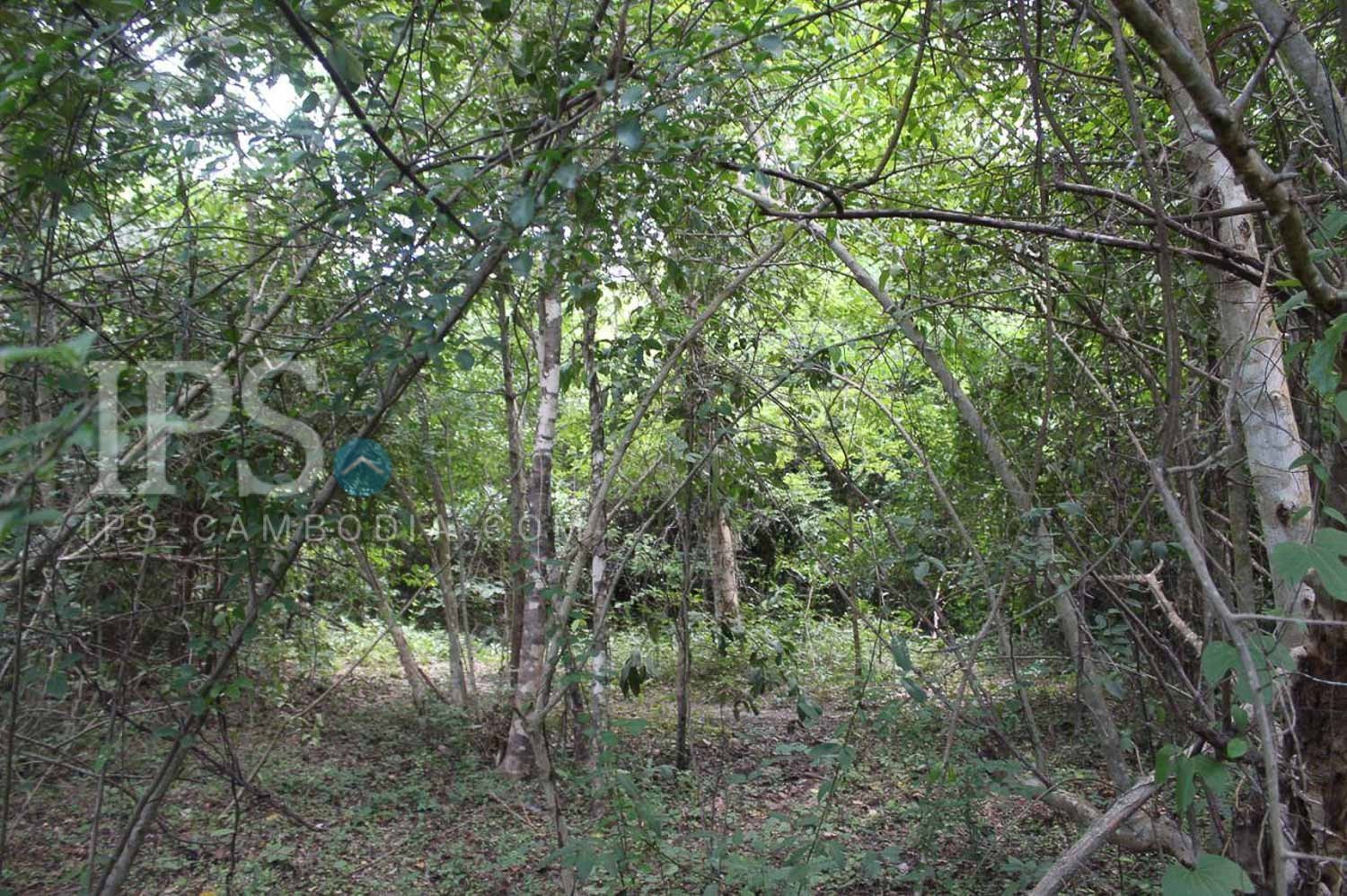 136,027 Sqm Land For Sale - Battambang - Image 8