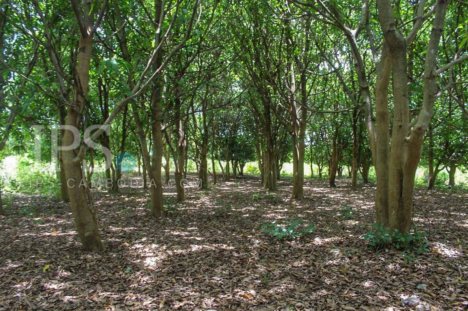 136,027 Sqm Land For Sale - Battambang - Image 2