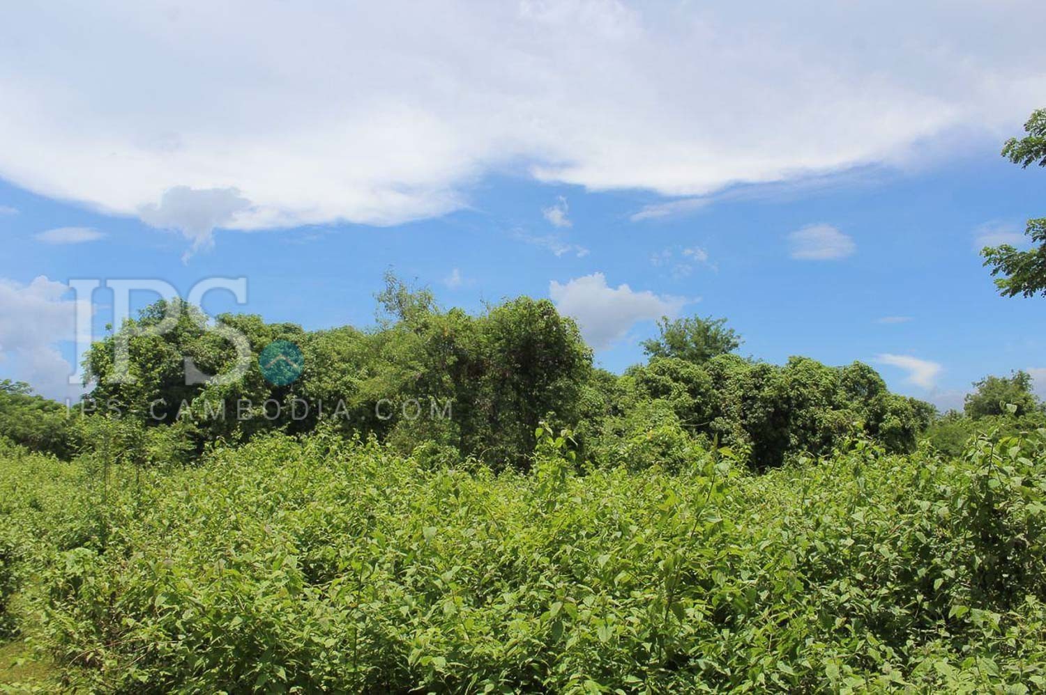 136,027 Sqm Land For Sale - Battambang - Image 12