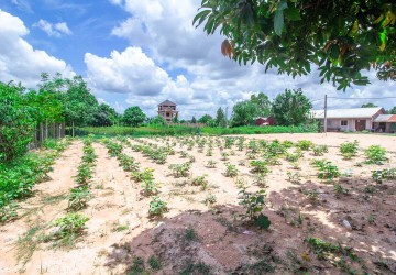 1200 Sqm Land  For Sale - Slor Kram, Siem Reap thumbnail