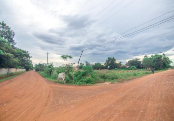 8000 Sqm Land For Sale - Svay Dangkum, Siem Reap thumbnail