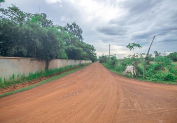 8000 Sqm Land For Sale - Svay Dangkum, Siem Reap thumbnail