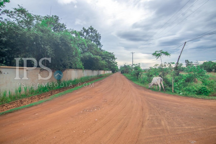 8000 Sqm Land For Sale - Svay Dangkum, Siem Reap