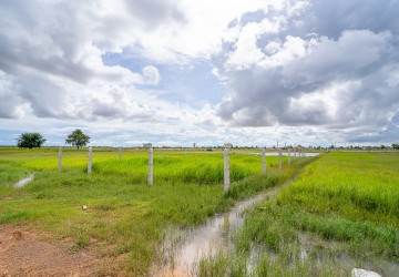   481 Sqm Land For Sale - Bakong District, Siem Reap thumbnail