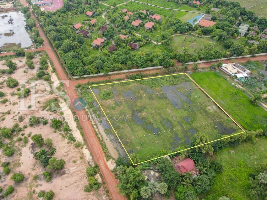 7980 Sqm  Land  For Sale - Svay Dangkum, Siem Reap