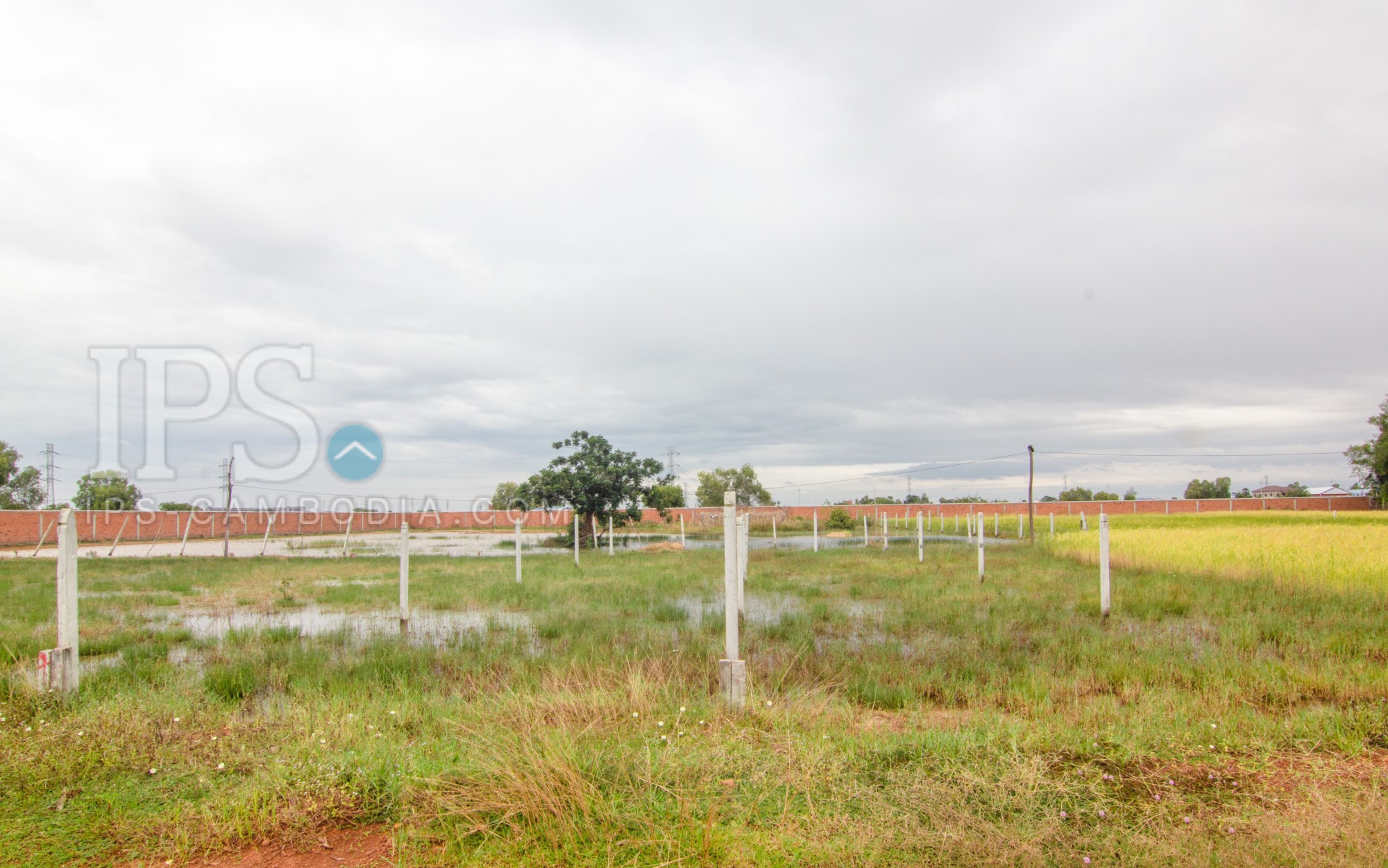220 Sqm Land  For Sale - Svay Thom, Siem Reap