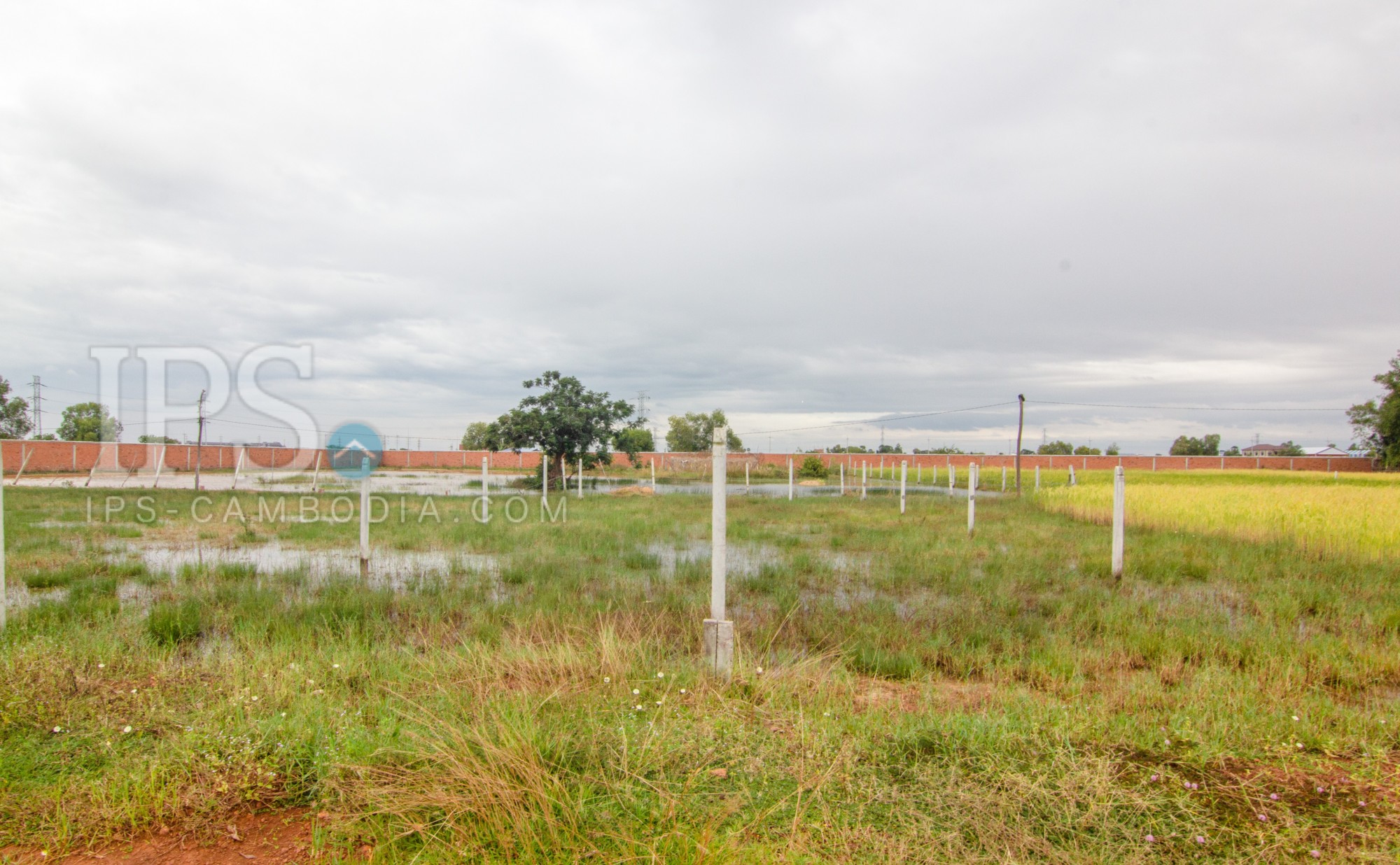 220 Sqm Land  For Sale - Svay Thom, Siem Reap - Image 2