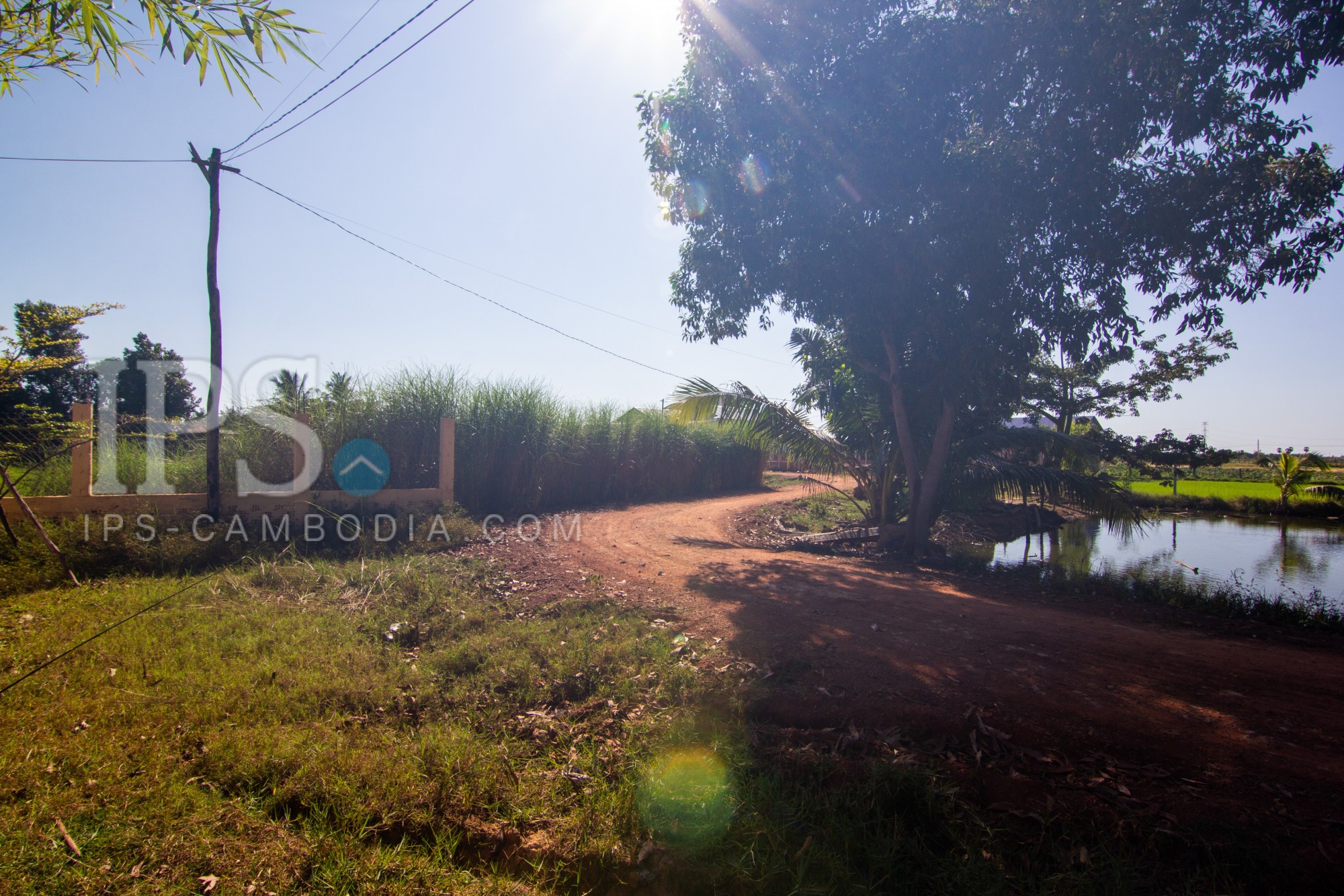 3231 Sqm Commercial Land For Rent - Sangkat Siem Reap, Siem Reap - Image 8