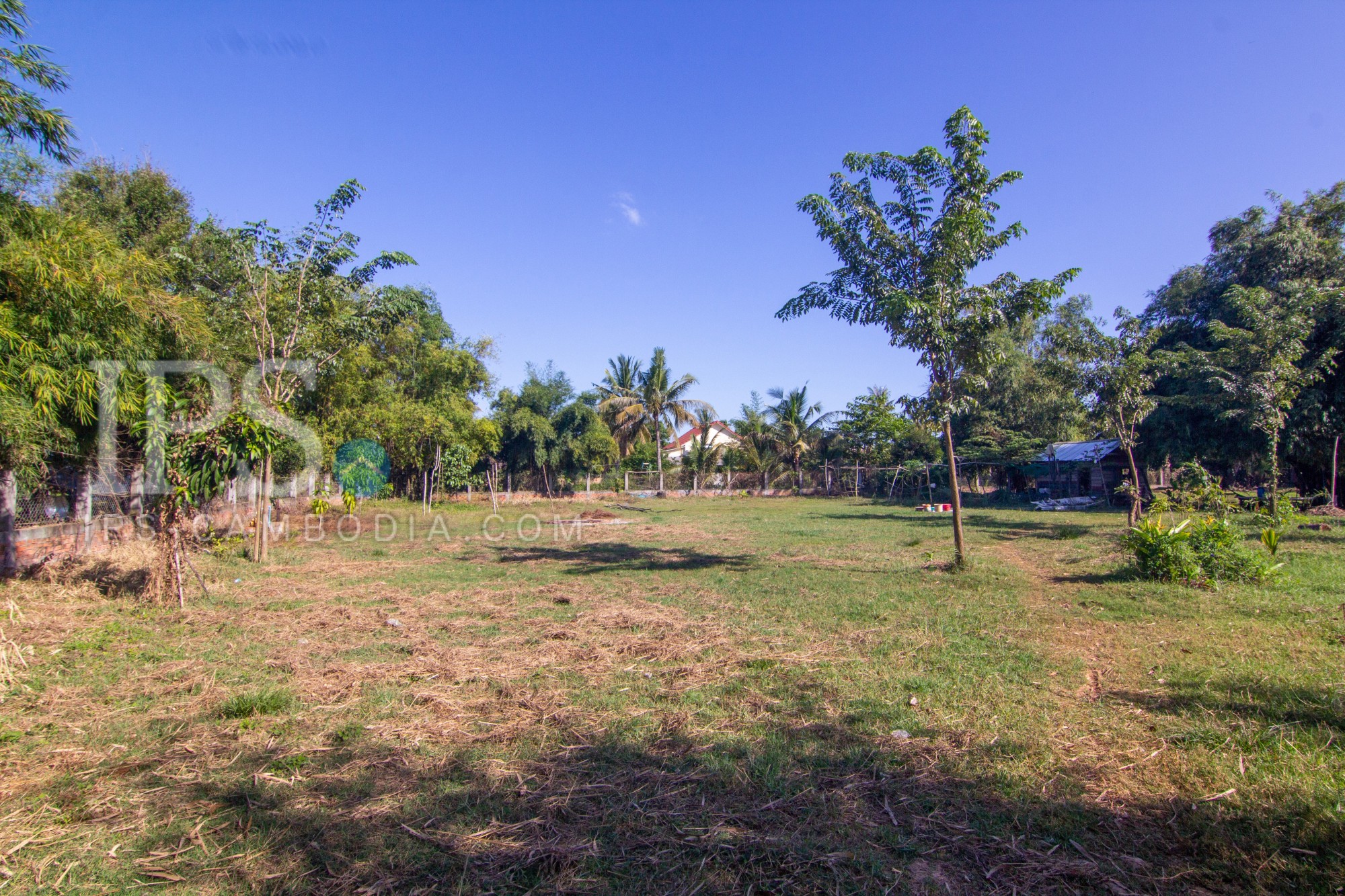 3231 Sqm Commercial Land For Rent - Sangkat Siem Reap, Siem Reap