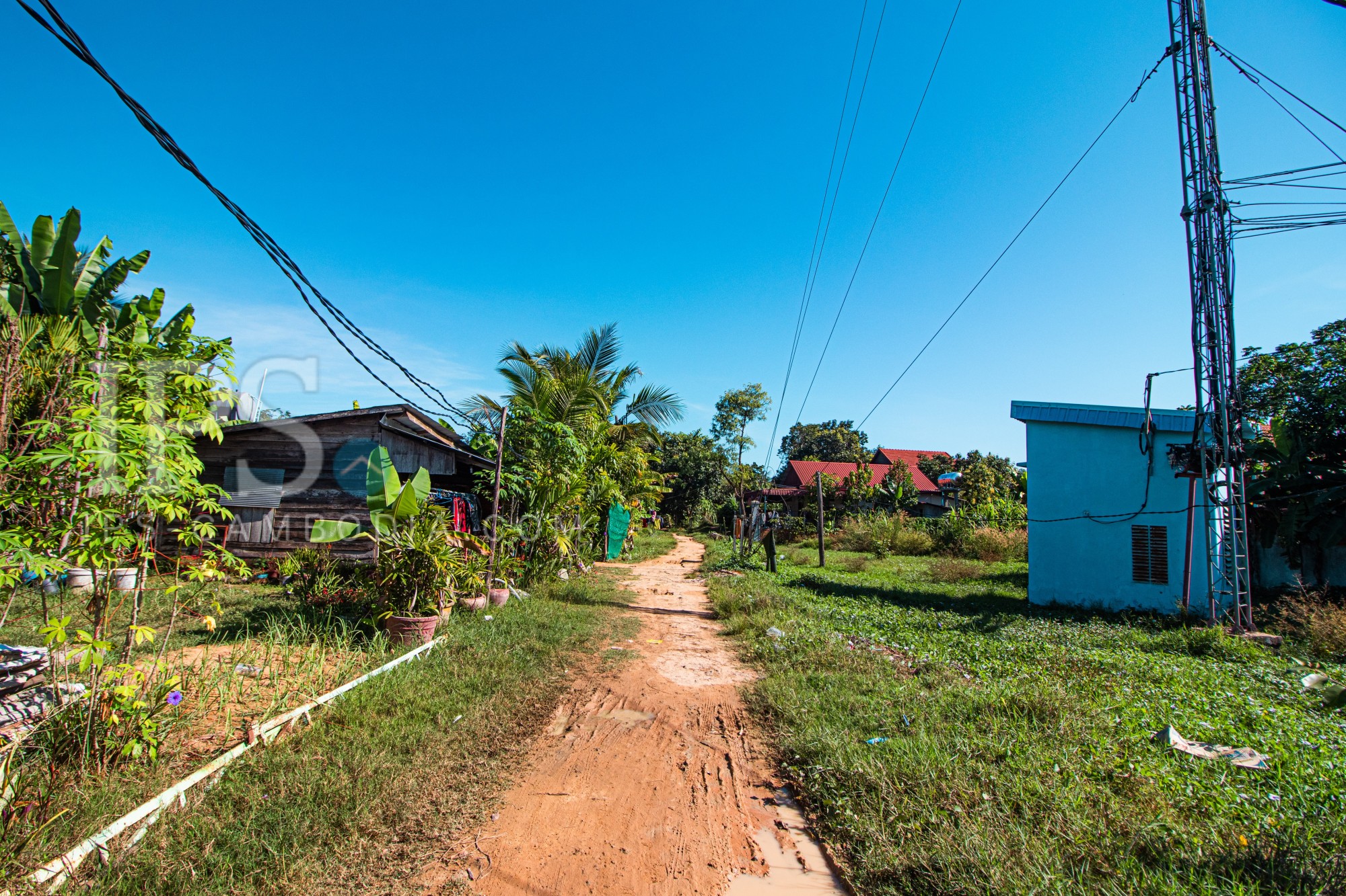 119 Sqm Land For Sale - Sra Ngae, Siem Reap - Image 2
