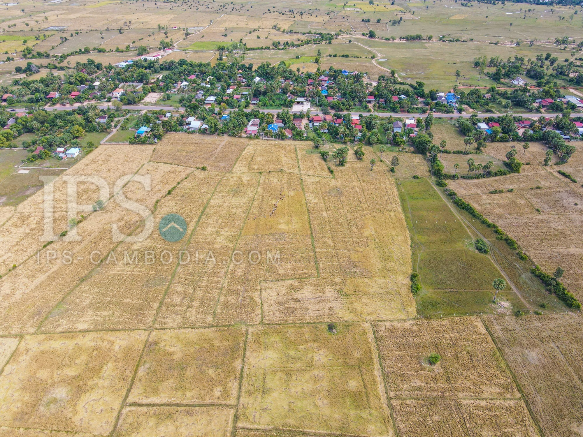18215Sqm Land For Sale - Bakong, Siem Reap 18215Sqm Land For Sale - Bakong, Siem Reap