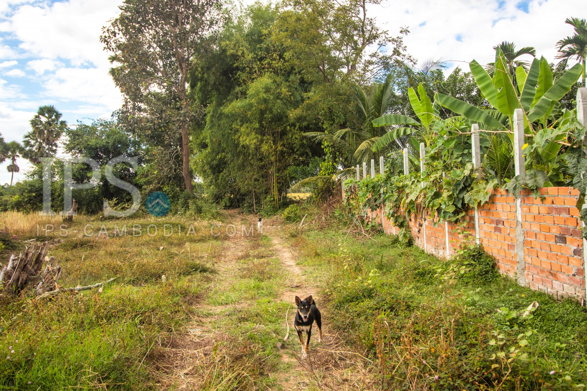 18215Sqm Land For Sale - Bakong, Siem Reap - Image 8 18215Sqm Land For Sale - Bakong, Siem Reap - Image 8