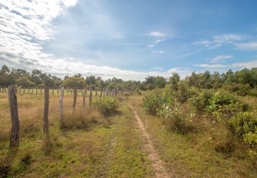   1560 Sqm Land For Sale - Banteay Srey, Siem Reap thumbnail