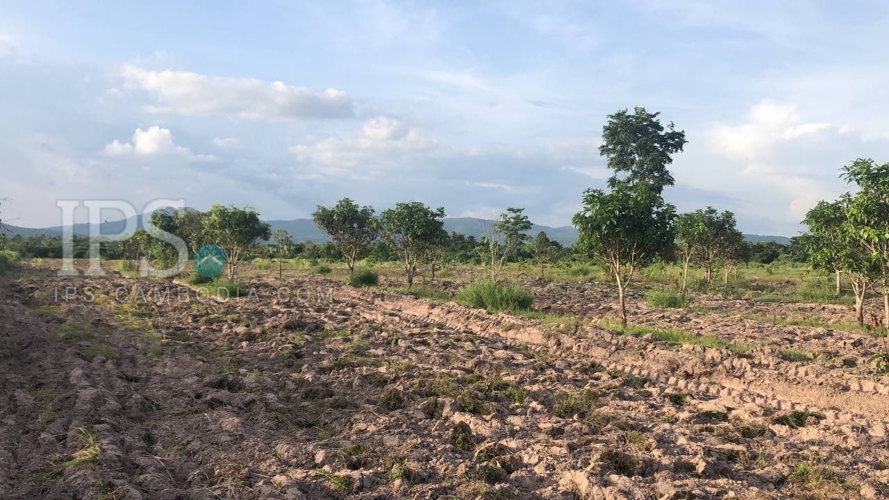 56,004 Sqm Land For Sale Kampot , Cambodia 11704 IPS Cambodia