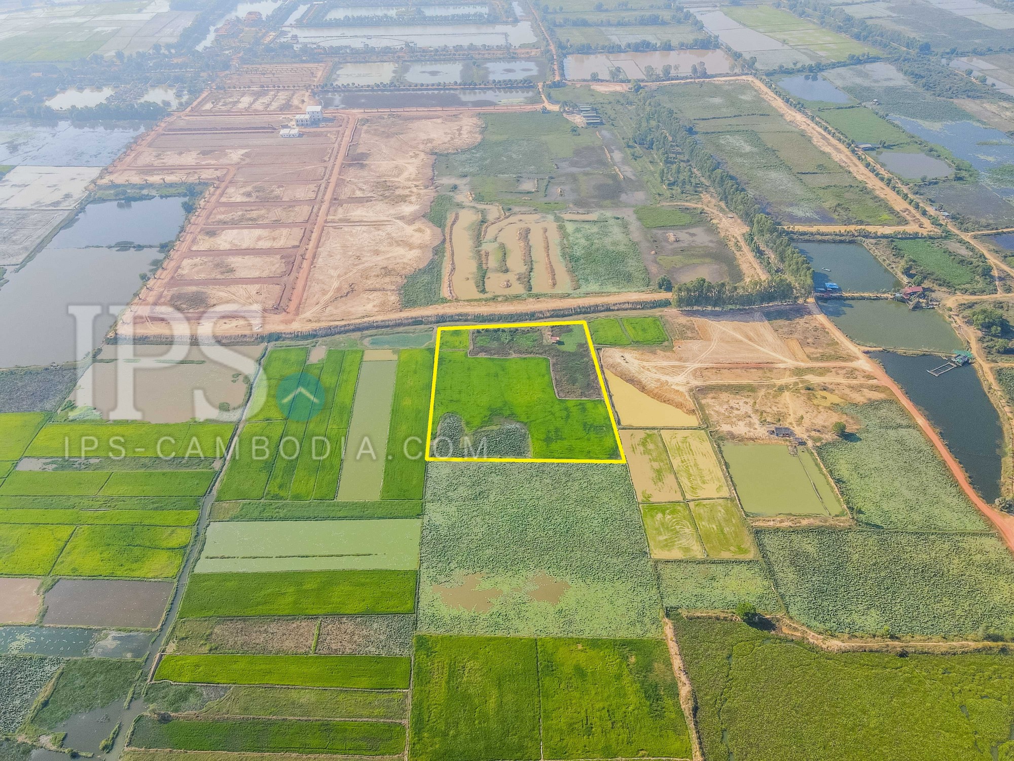 13000 Sqm Land For Sale - Sangkat Siem Reap, Siem Reap