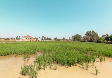  1957 Sqm Residential Land For Sale - Chreav, Siem Reap thumbnail