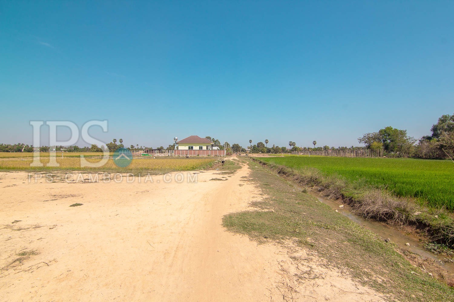 1957 Sqm Residential Land For Sale - Chreav, Siem Reap - Image 8