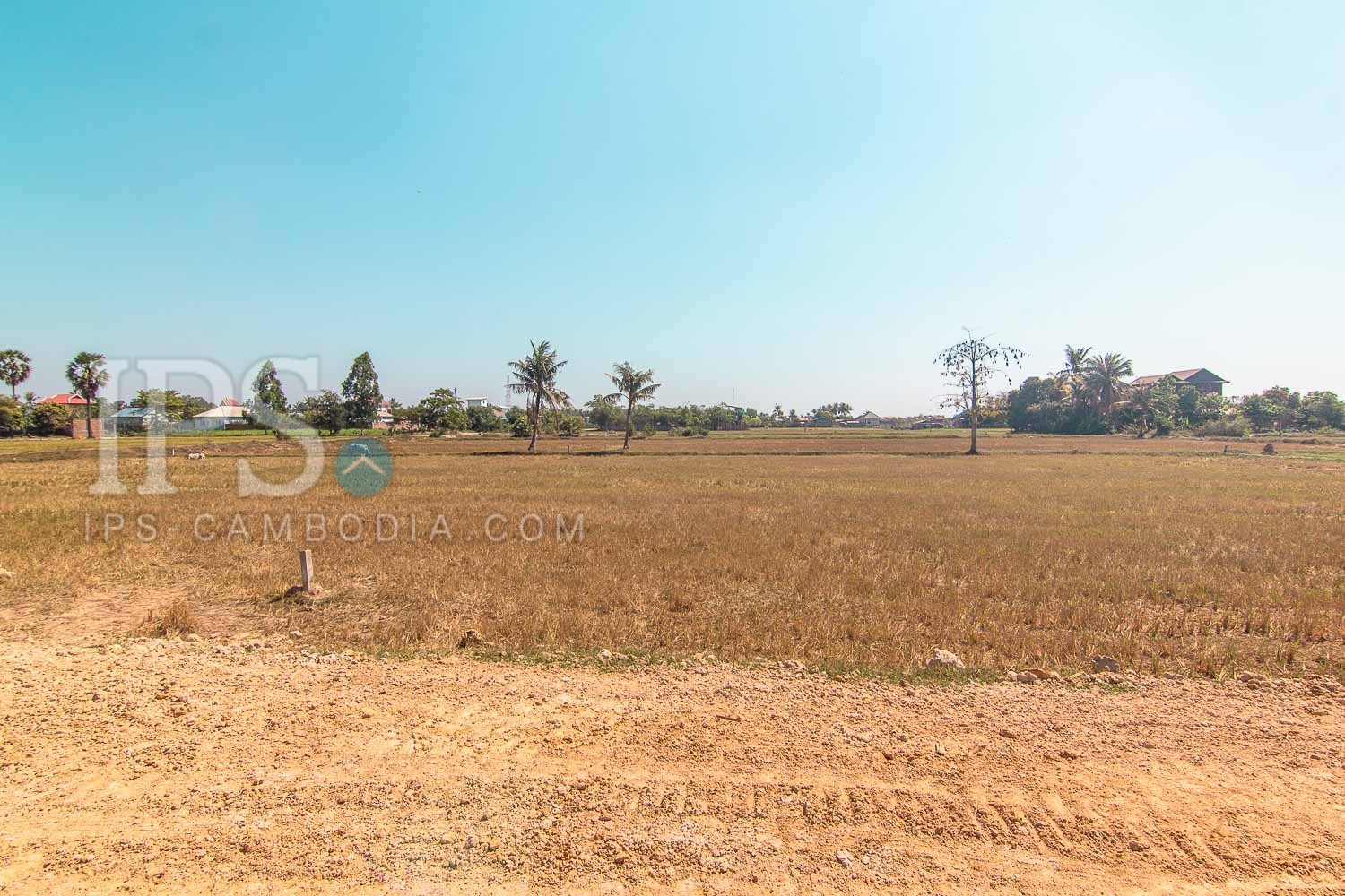 1820 Sqm Residential Land For Sale - Chreav, Siem Reap - Image 2