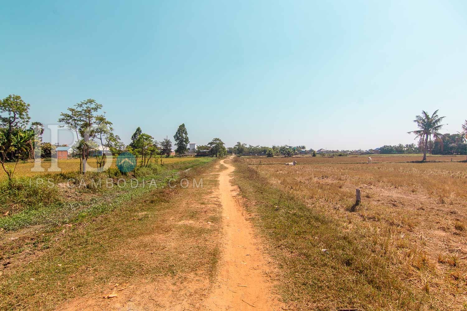 1820 Sqm Residential Land For Sale - Chreav, Siem Reap - Image 7