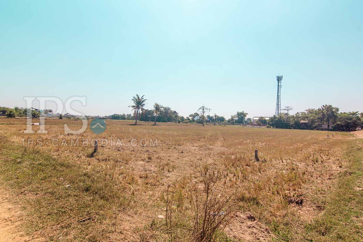 1820 Sqm Residential Land For Sale - Chreav, Siem Reap - Image 8
