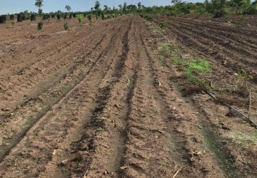 34 Ha Agricultural Land For Sale - Chikraeng District, Siem Reap thumbnail