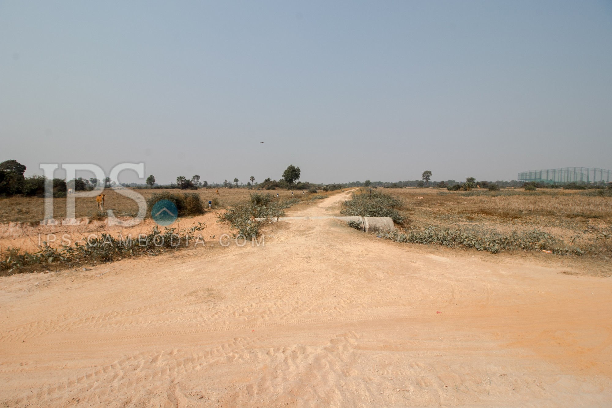 17826 Sqm Residential Land For Sale - Bakong District, Siem Reap - Image 16 17826 Sqm Residential Land For Sale - Bakong District, Siem Reap - Image 16