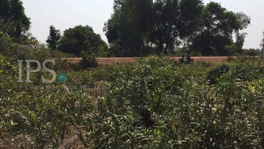 2976 Sqm Residential Land For Sale - Banteay Srei, Siem Reap