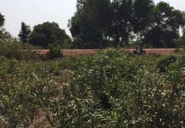  2976 Sqm Residential Land For Sale - Banteay Srei, Siem Reap thumbnail