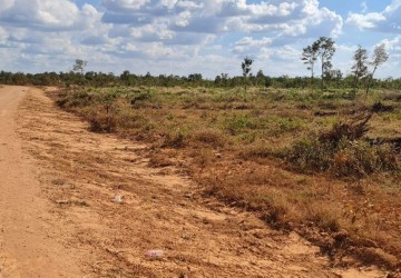 10 Hectare Agricultural Land For Sale - Svay Leu, Siem Reap thumbnail