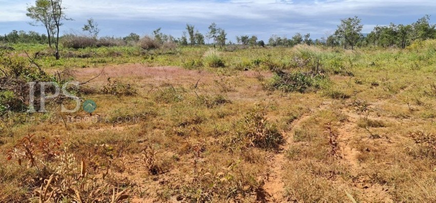 10 Hectare Agricultural Land For Sale - Svay Leu, Siem Reap