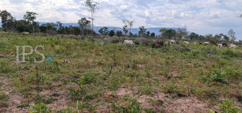 10 Hectare Agricultural Land For Sale - Svay Leu, Siem Reap