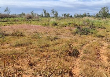 10 Hectare Agricultural Land For Sale - Svay Leu, Siem Reap thumbnail