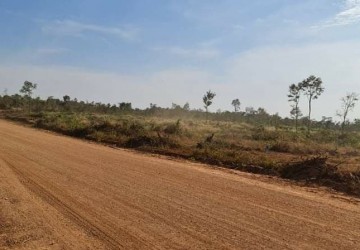 10 Hectare Agricultural Land For Sale - Svay Leu, Siem Reap thumbnail