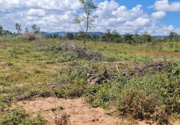 10 Hectare Agricultural Land For Sale - Svay Leu, Siem Reap thumbnail