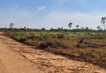 10 Hectare Agricultural Land For Sale - Svay Leu, Siem Reap thumbnail