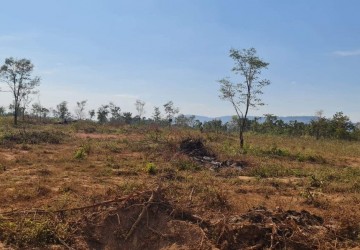 10 Hectare Agricultural Land For Sale - Svay Leu, Siem Reap thumbnail