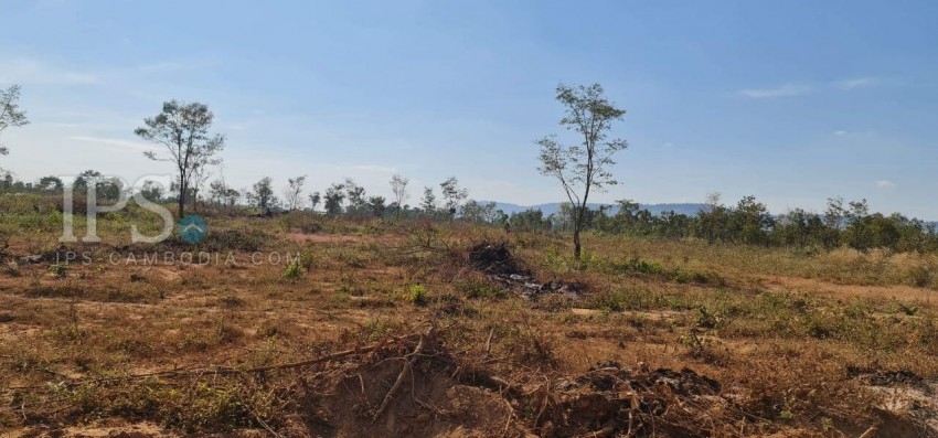 10 Hectare Agricultural Land For Sale - Svay Leu, Siem Reap