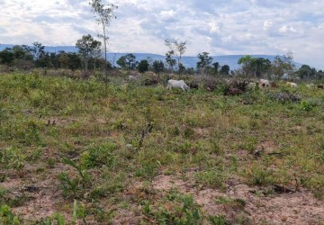 10 Hectare Agricultural Land For Sale - Svay Leu, Siem Reap thumbnail