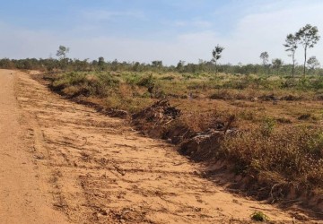 10 Hectare Agricultural Land For Sale - Svay Leu, Siem Reap thumbnail