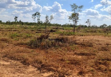 10 Hectare Agricultural Land For Sale - Svay Leu, Siem Reap thumbnail