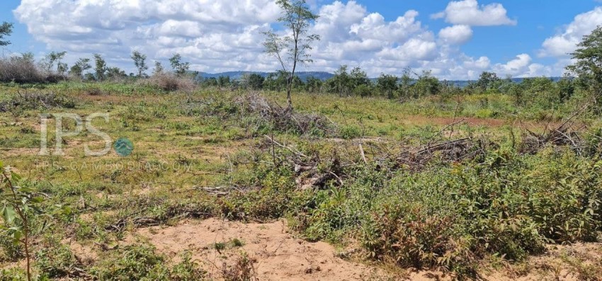 10 Hectare Agricultural Land For Sale - Svay Leu, Siem Reap