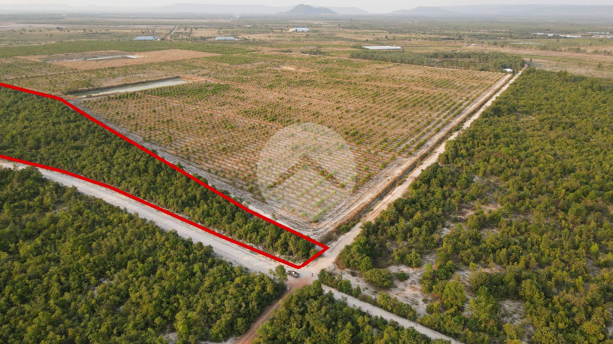 1 Hectare Land For Sale - Banteay Srei, Siem Reap 12018 | IPS Cambodia