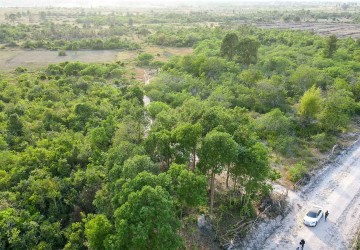  1 Hectare Land For Sale - Banteay Srei, Siem Reap thumbnail