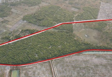  1 Hectare Land For Sale - Banteay Srei, Siem Reap thumbnail