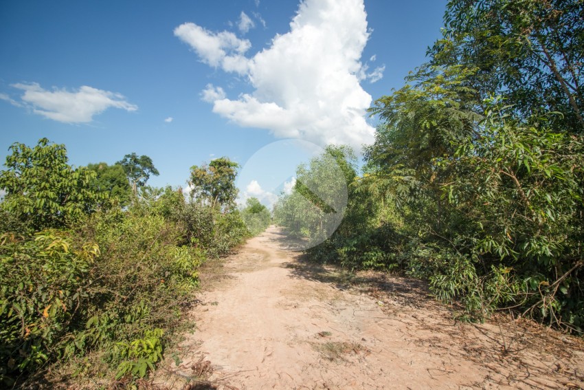 6.2 Hectare Land For Sale - Nokor Thum, Siem Reap