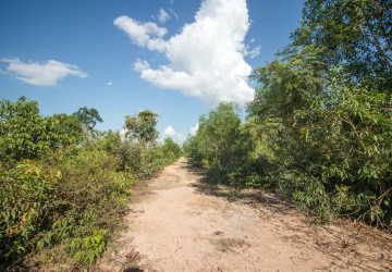 6.2 Hectare Land For Sale - Nokor Thum, Siem Reap thumbnail