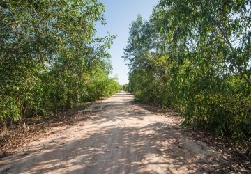 6.2 Hectare Land For Sale - Nokor Thum, Siem Reap thumbnail